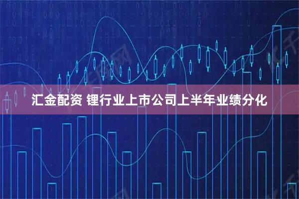汇金配资 锂行业上市公司上半年业绩分化