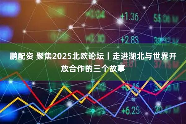 鹏配资 聚焦2025北欧论坛丨走进湖北与世界开放合作的三个故事