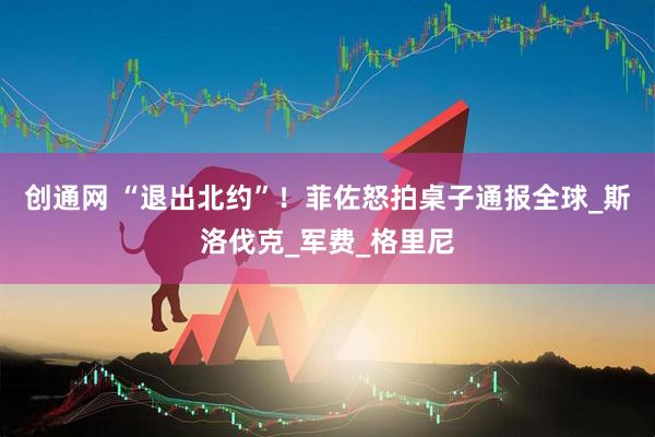 创通网 “退出北约”！菲佐怒拍桌子通报全球_斯洛伐克_军费_格里尼