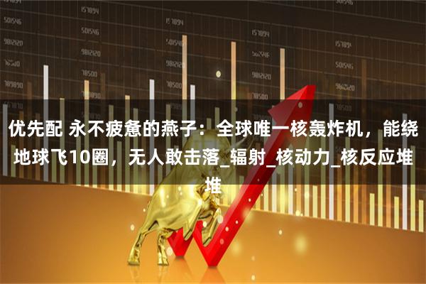 优先配 永不疲惫的燕子：全球唯一核轰炸机，能绕地球飞10圈，无人敢击落_辐射_核动力_核反应堆